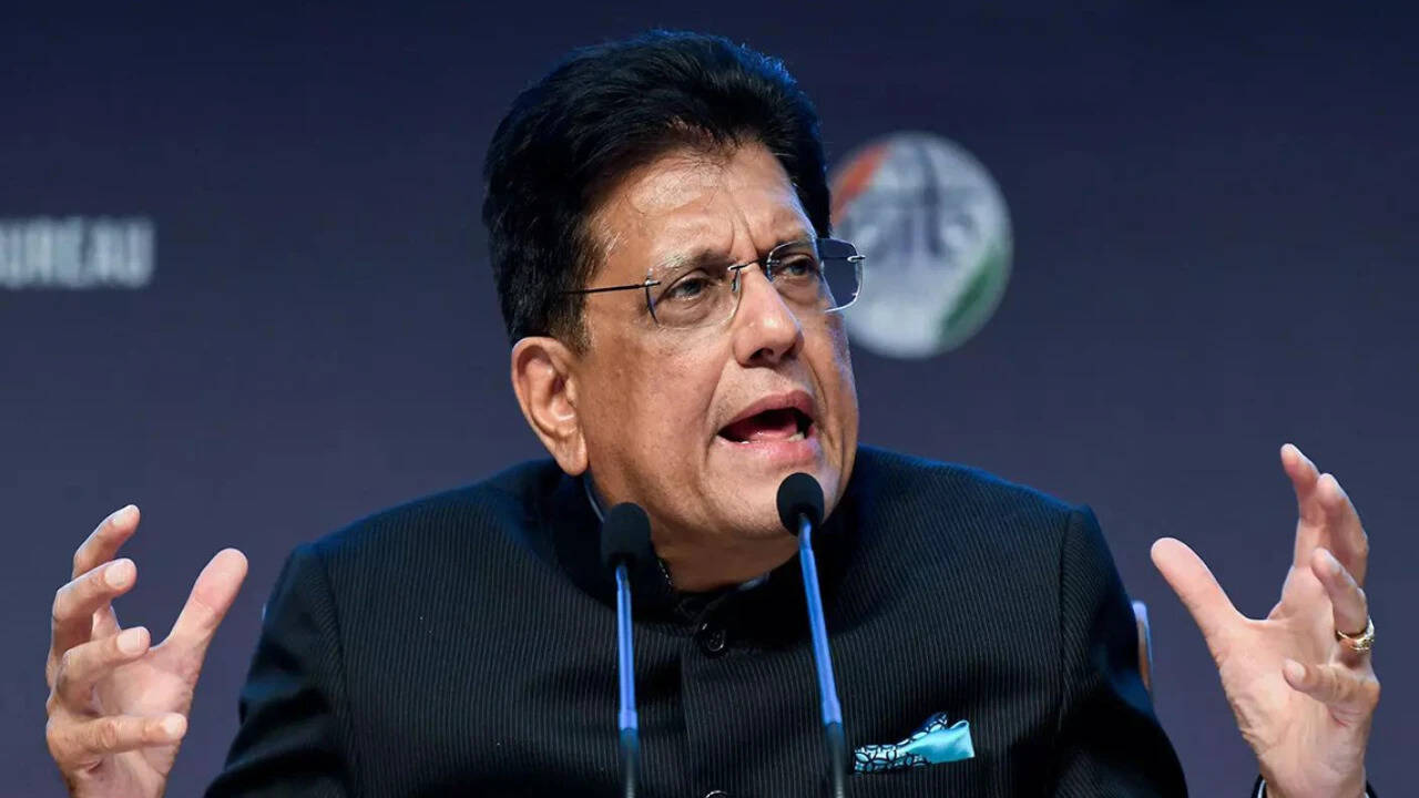 ‘Jobless people on TV’: Goyal attacks oppn, ex-finance secy for remarks on GDP growth