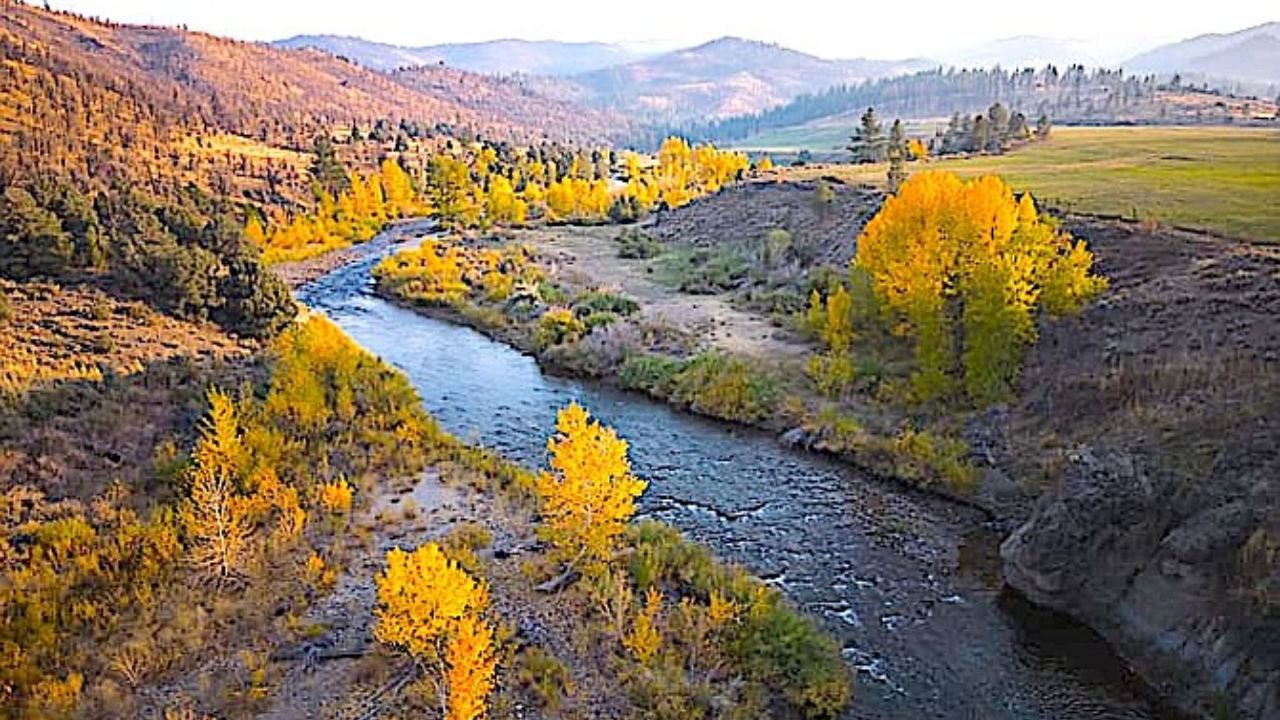 Ranch Shift Protects River: $8m deal secures 1,688-acre Park Ranch; wildlife corridor stays open
