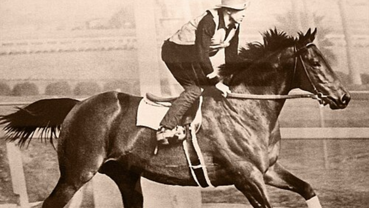 Seabiscuit’s California ranch became a conservation haven for wetlands