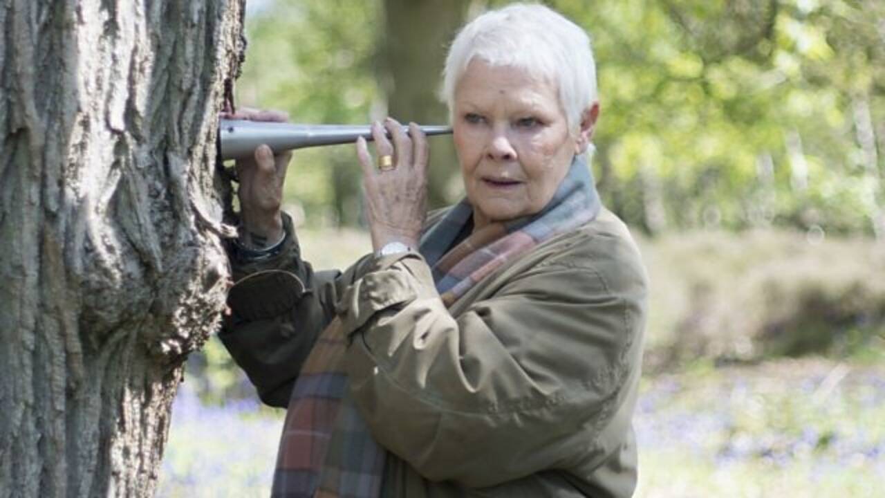 Judi Dench's garden is actually a memorial: The actress planted trees for people she lost, turning her Surrey garden into a living memory book