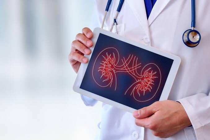 IIT Madras and CMC Vellore develop AI tools for early kidney disease detection