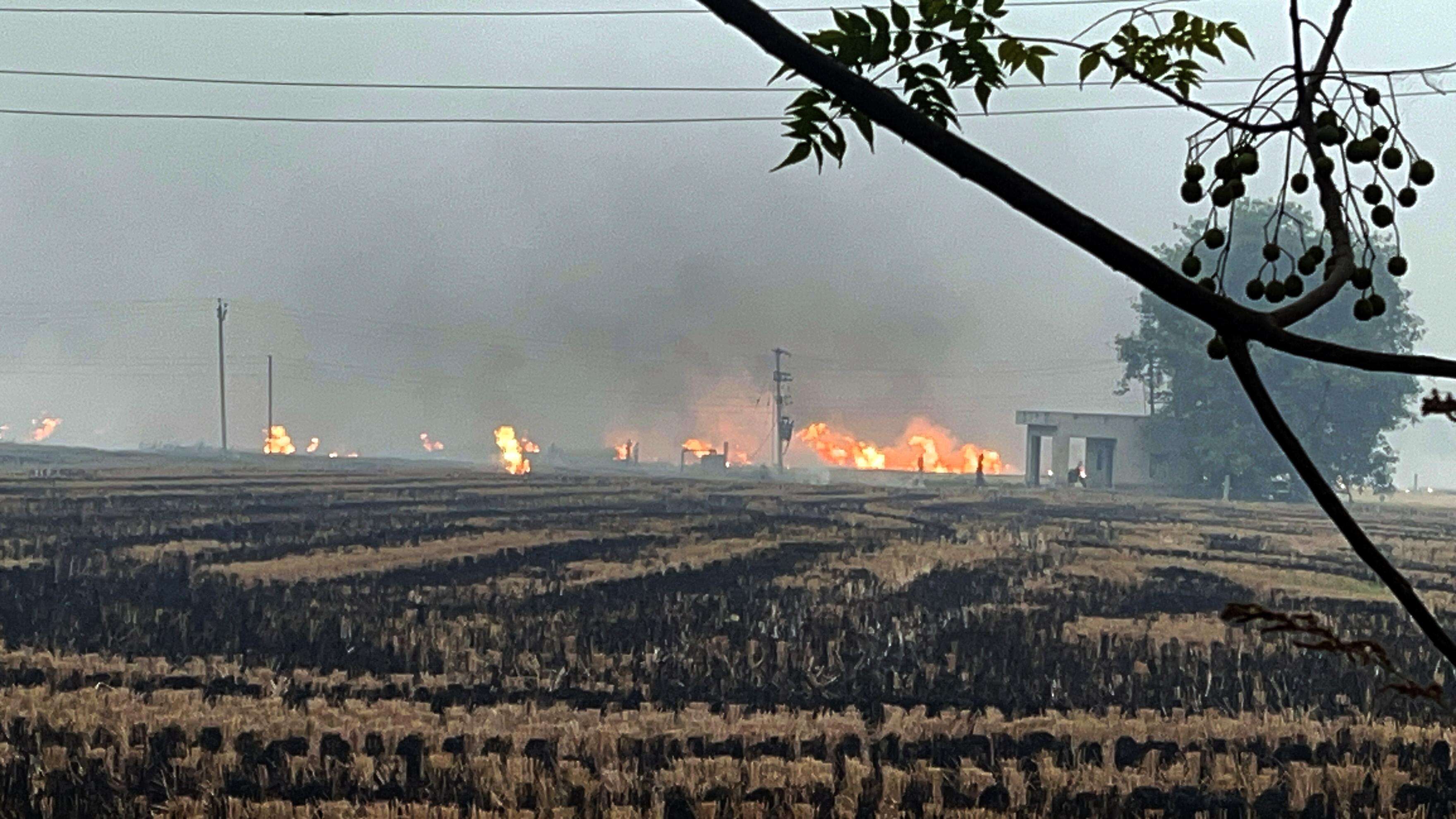Early Stubble Burning Incidents Reported Across Punjab Farmlands