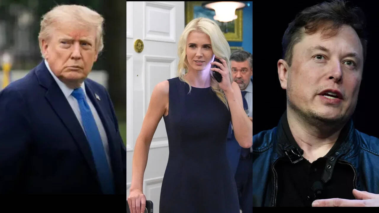 Natalie Harp came in, gave Trump a printout of Elon Musk's post: Ted Cruz reveals how Trump vs Musk unfolded in front of his eyes, like a 'hand grenade was thrown in the middle of everything'