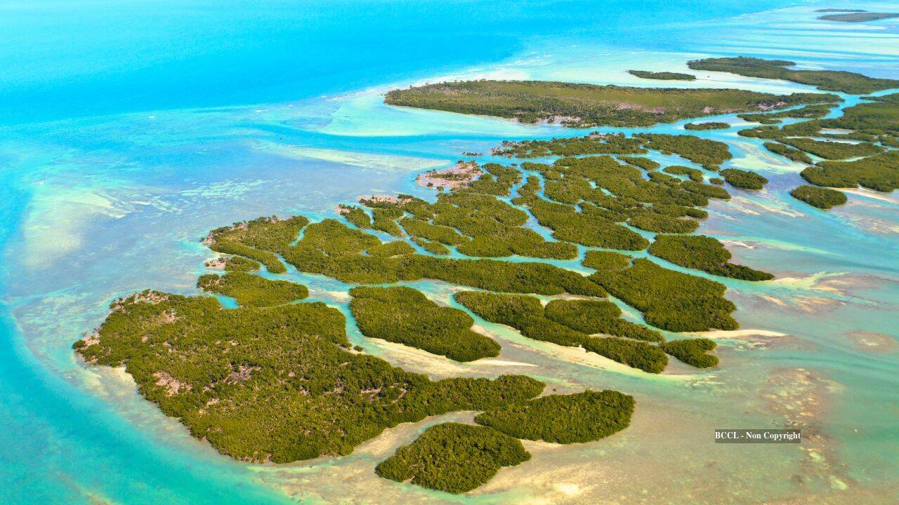 Florida Keys island bought in 1956; heirs win decades-long fight to build
