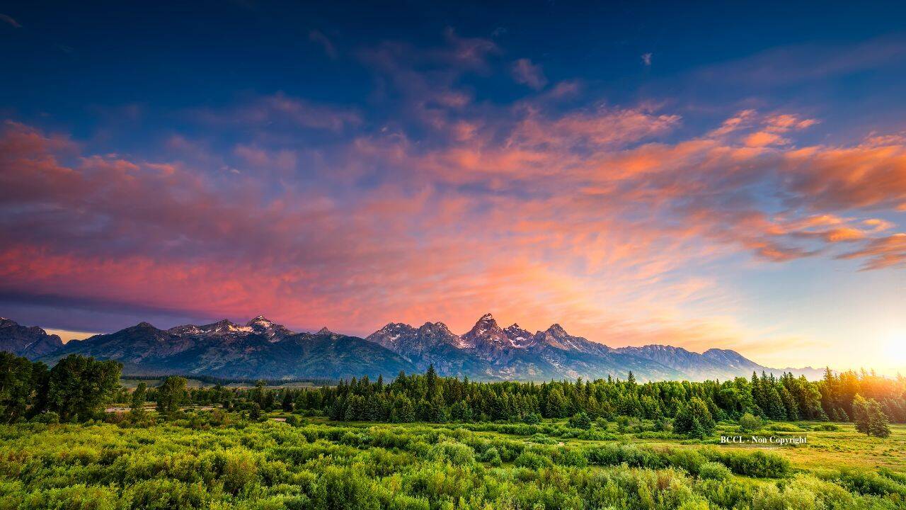 Scientists find ancient Wyoming forest took 100,000 years to recover from warming