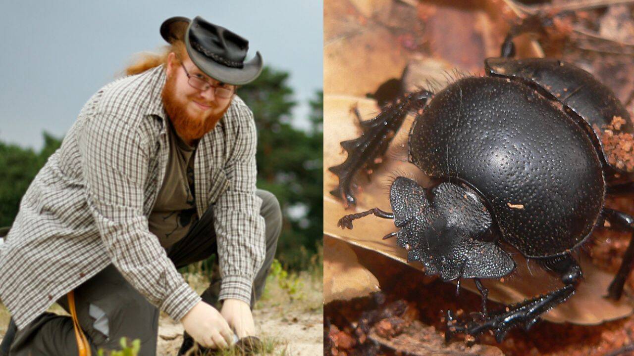 Inside the Hidden Archives Where Biologists Are Still Uncovering Lost Species