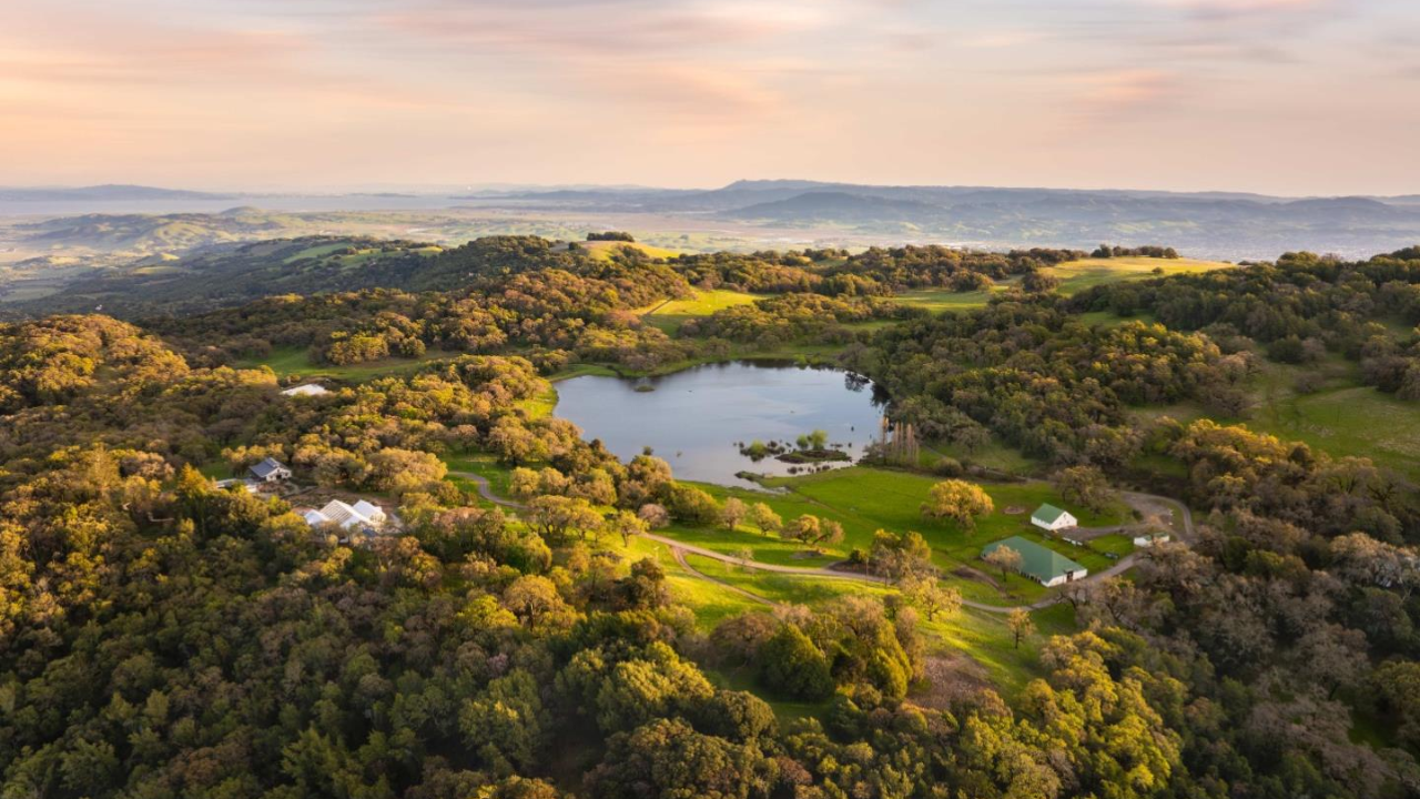In 2014, a tech entrepreneur bought a 1,100-acre Sonoma ranch for $12 million and spent...