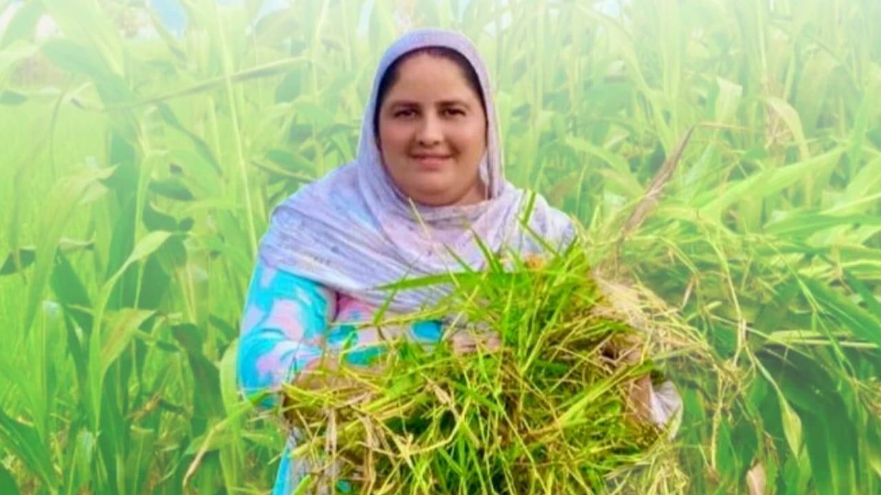 From half an acre to 40: How a Moga woman turned mockery into an Rs 80 lakh farming enterprise