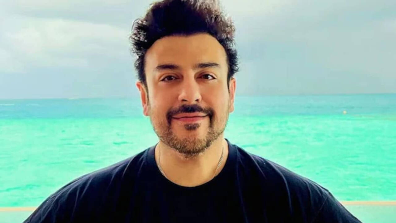 Adnan says it was never difficult to find work in India as Pakistani