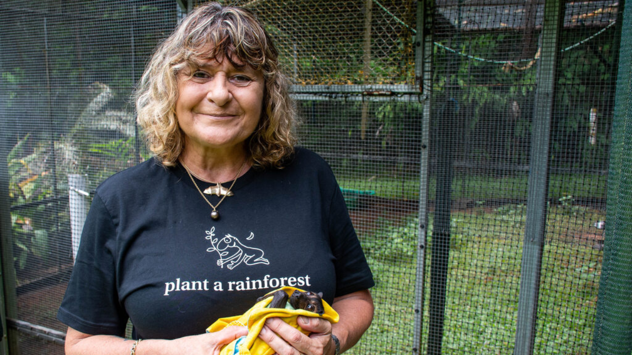Australian woman planted 119,000 trees on cleared land; 10 years later, rainforest returns