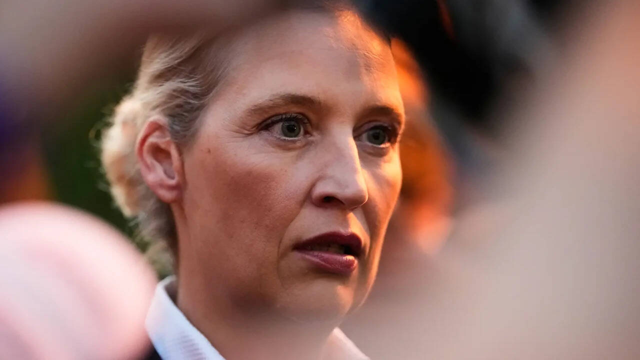 Alice Weidel: The banker behind the firewall