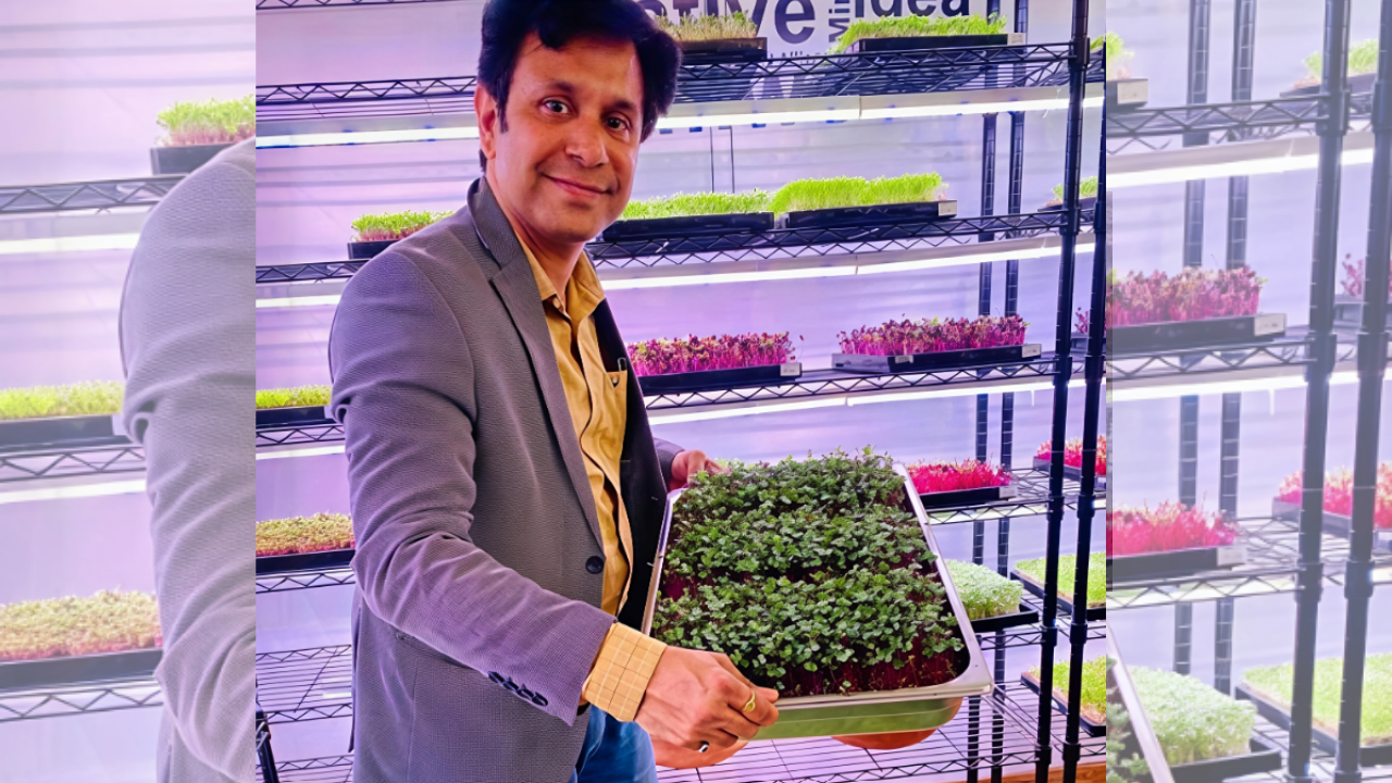 From Job To Microgreens: Mohit Nijhawan quits ₹90 lakh role; Greenu now makes ₹1.44cr a year