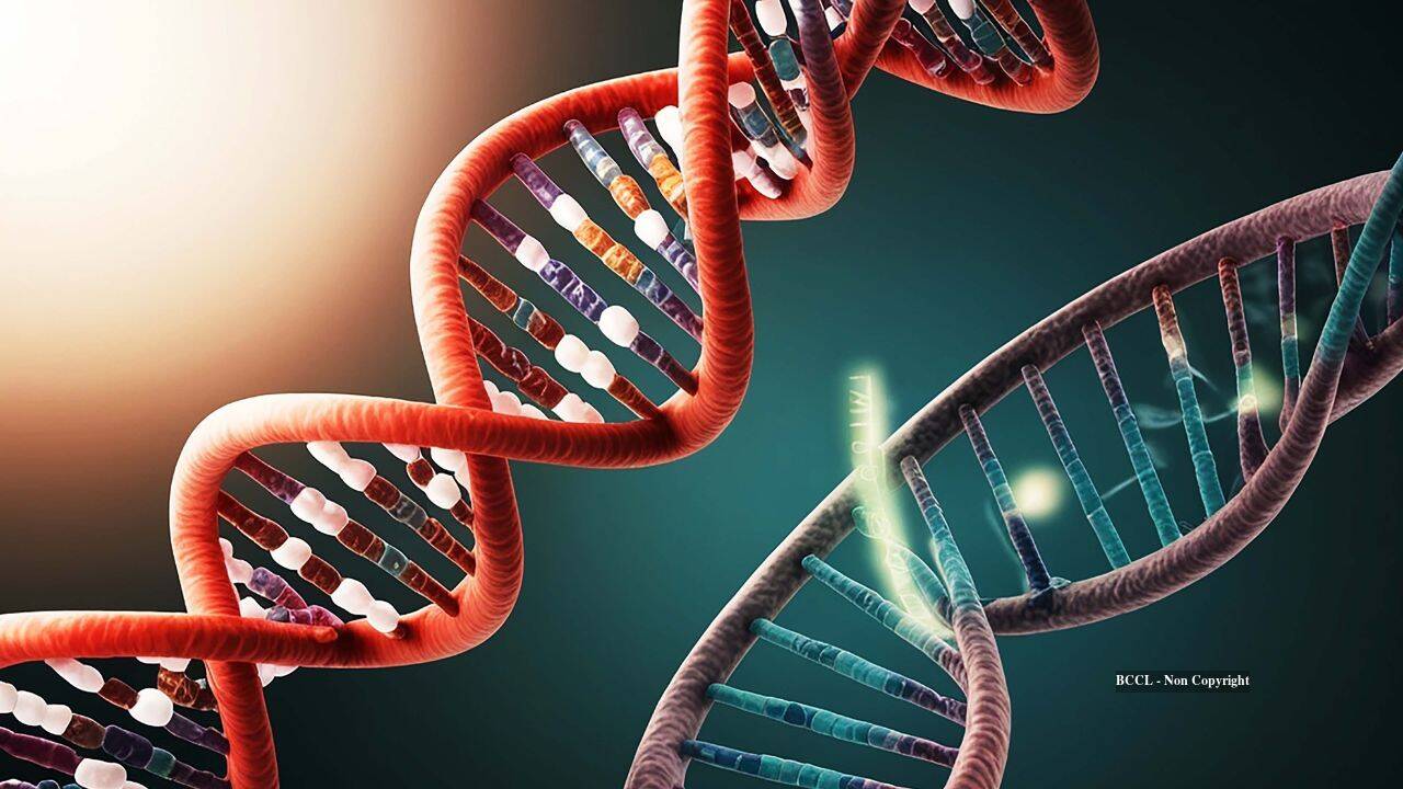 Scientists double genetic alphabet using bacterial enzyme to read and transcribe 8 DNA letters