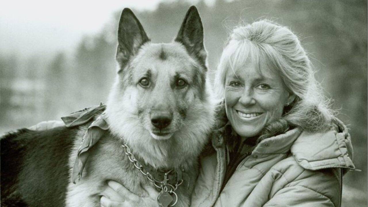 She built a 12-by-12-foot cabin with no electricity or road: The woman who chose to live alone in the Adirondack wilderness