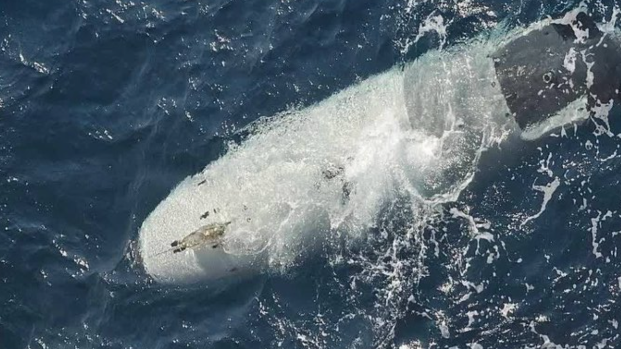 US military's 'modern, intelligent' submarine captured by Iran? All about Dive-LD