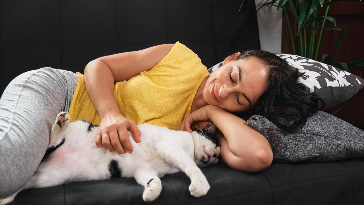 Psychology says sleeping with your pet may be about feeling safe, loved and secure