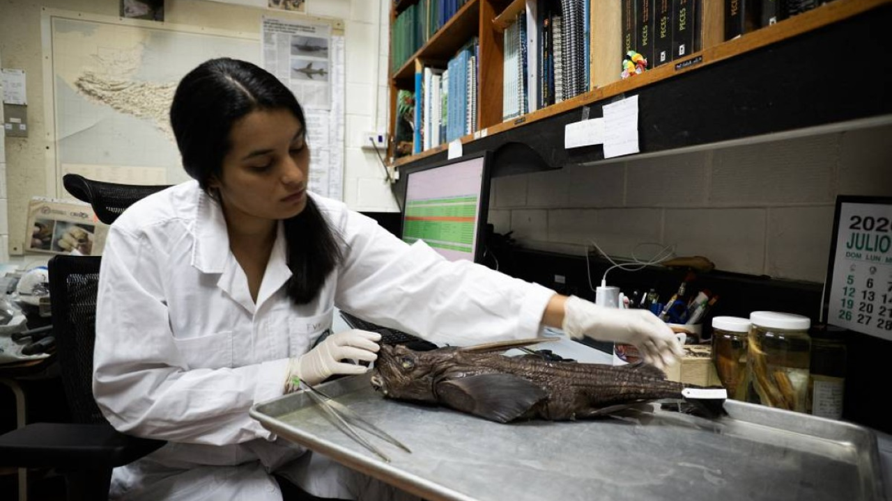 Meet the scientist who helped reveal Costa Rica’s mysterious ghost shark