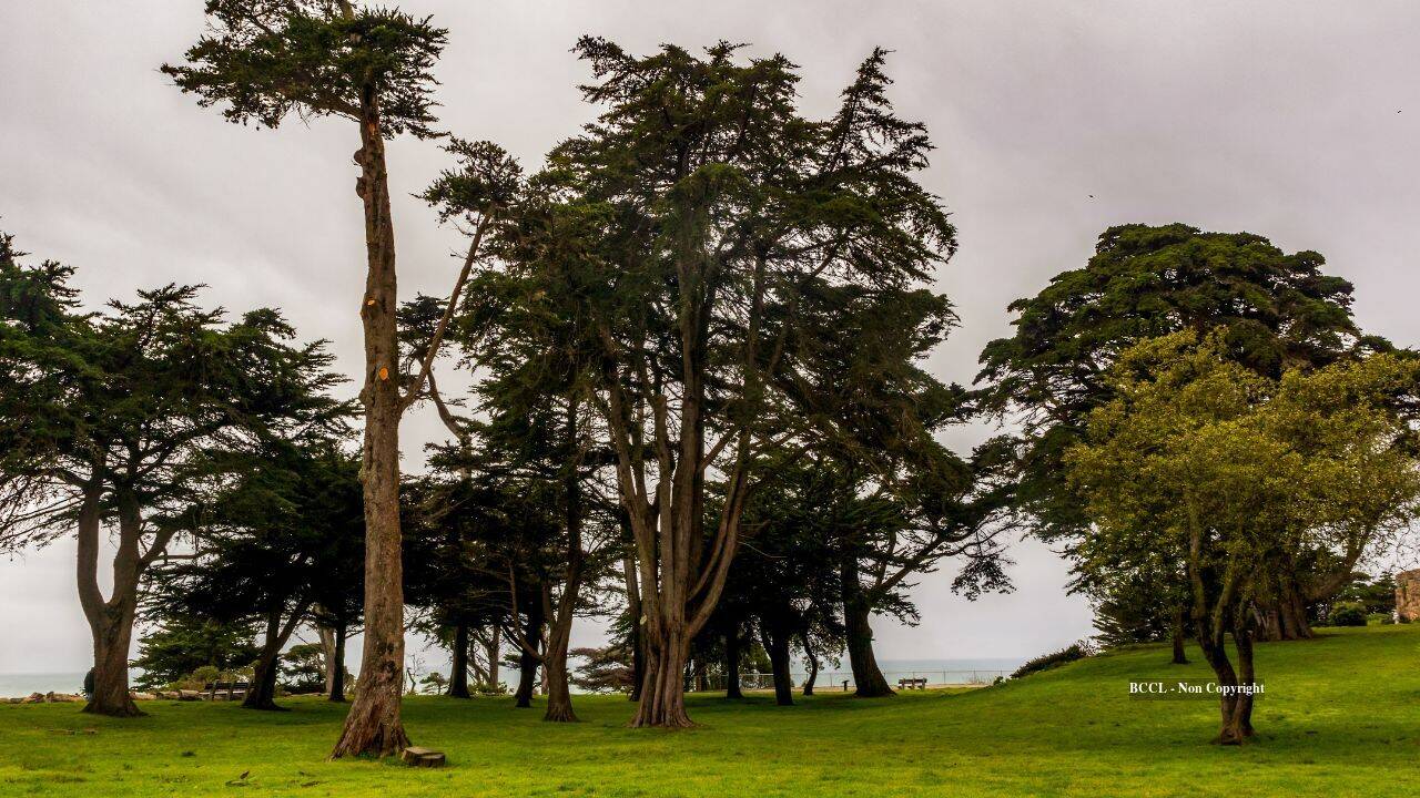 San Francisco mansion was demolished; its 22-acre estate later became a park