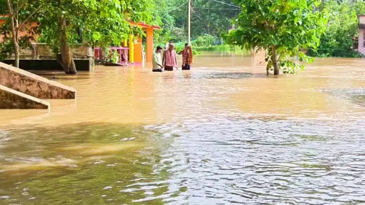 IMD issues heavy rainfall warnings for Odisha as low-pressure system develops