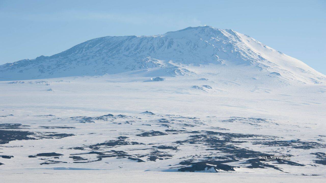 AI maps 39,619 Antarctic icebergs forming ‘picket fence’ that holds sea ice