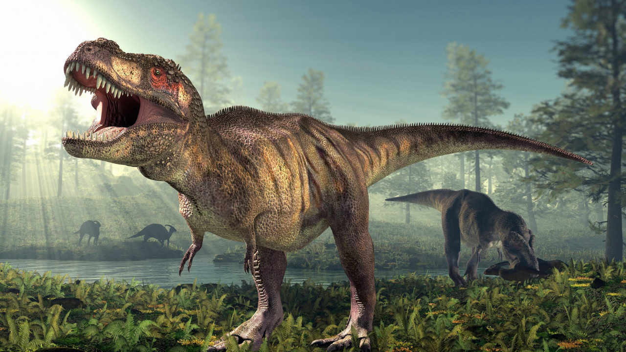 Adult T. Rex Trackway Found: four connected footprints reveal walking gait; speed near 4 mph