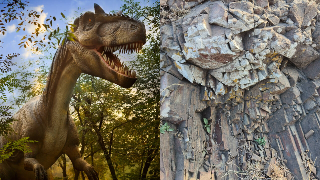 In 2016, a Montana researcher found a rock; scans later revealed a dinosaur's finest feather