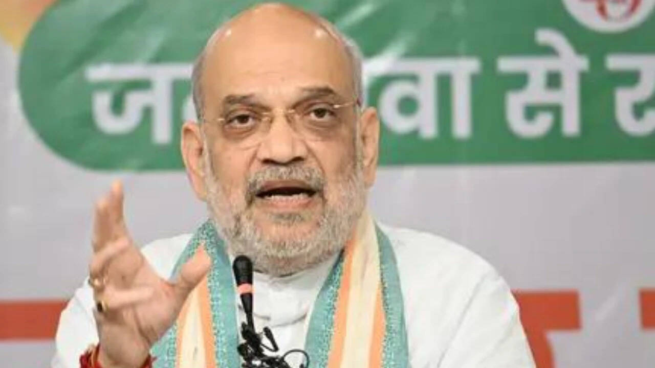 On Amit Shah's UCC implementation claim, 3 BJP allies sound caution