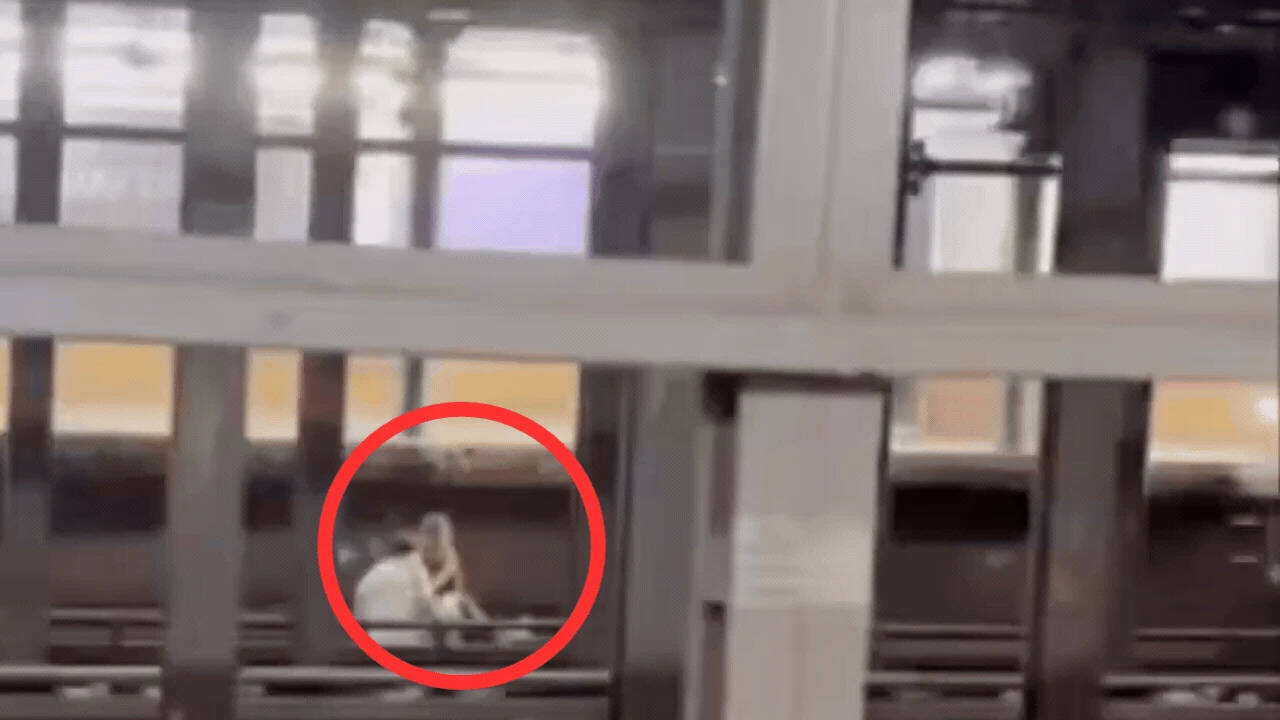 Tragic Subway Fatality in New York Prompts Safety Review for Transit Authorities
