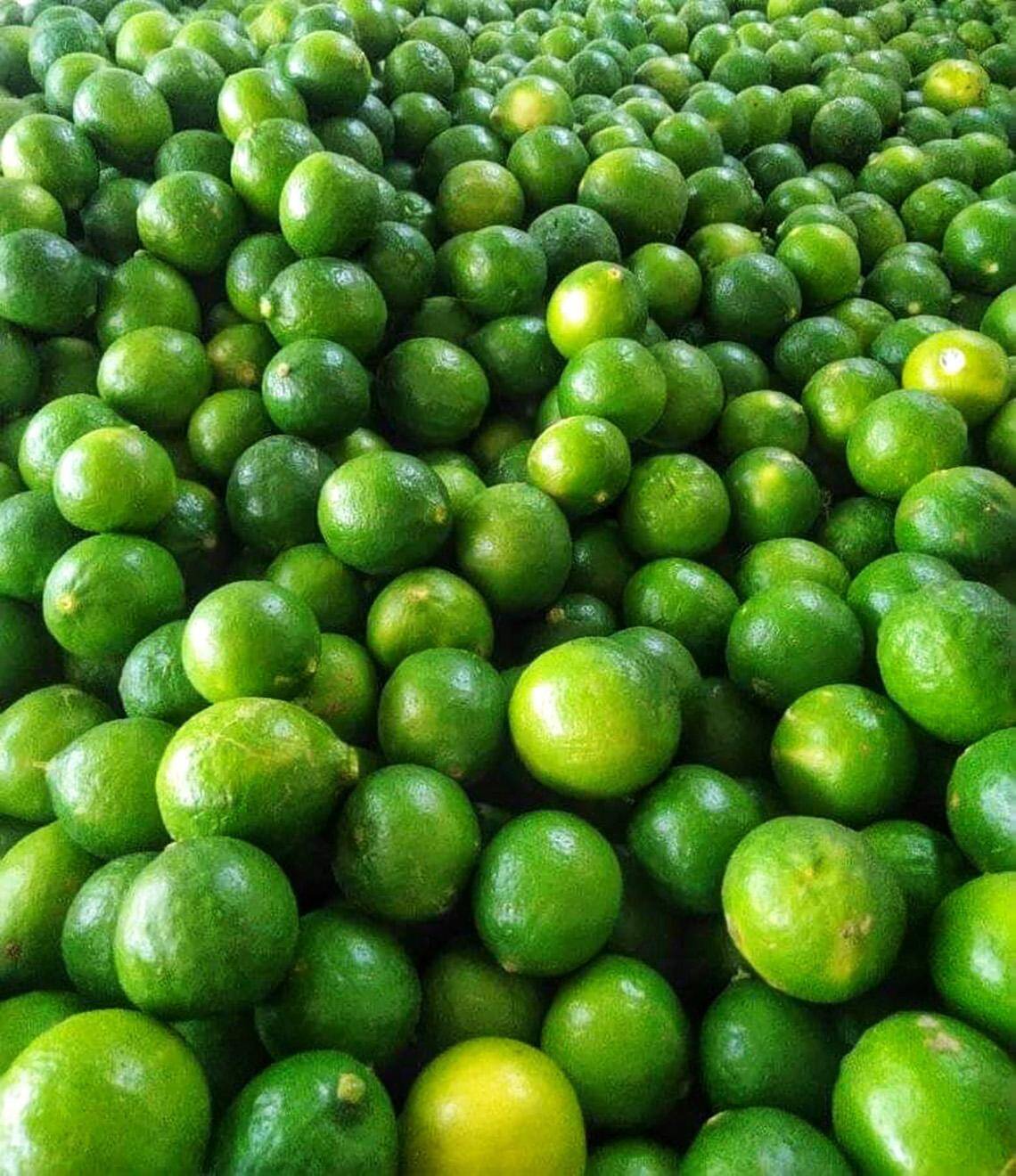 Escalating Drought Conditions Trigger Fourfold Price Surge for Essential Citrus Produce in Karnataka