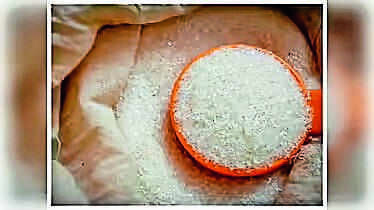 West Bengal Anticipates Sugar Price Correction Below Fifty Rupees Before Festive Season