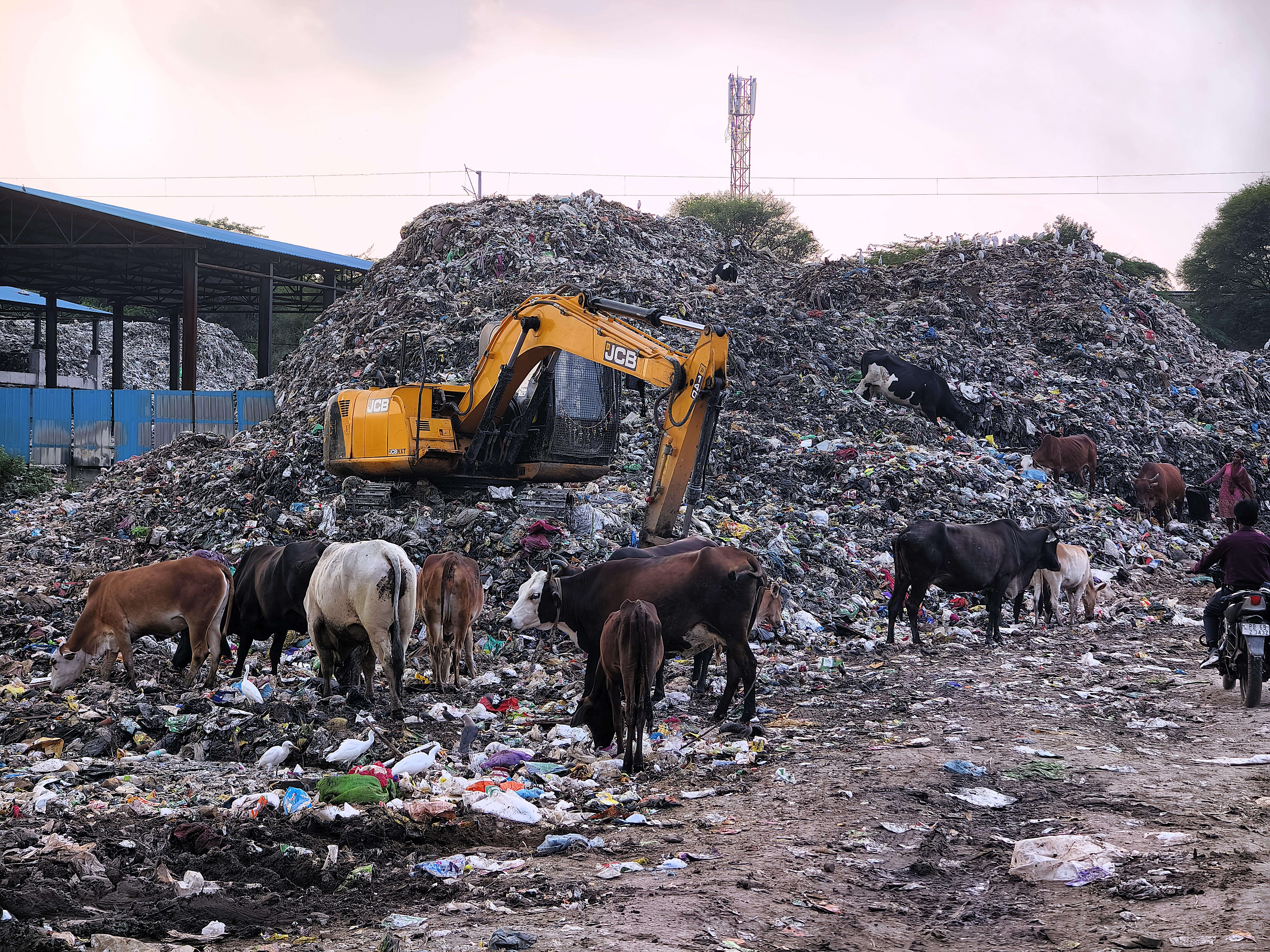 Jagatpura Dump Emerges as Major Civic Failure for Punjab Municipal Administration