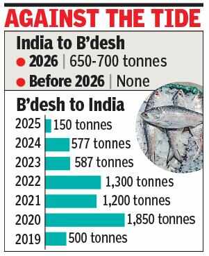 Reverse Flow Logistics Bring Prized Hilsa Back to Bangladesh Markets
