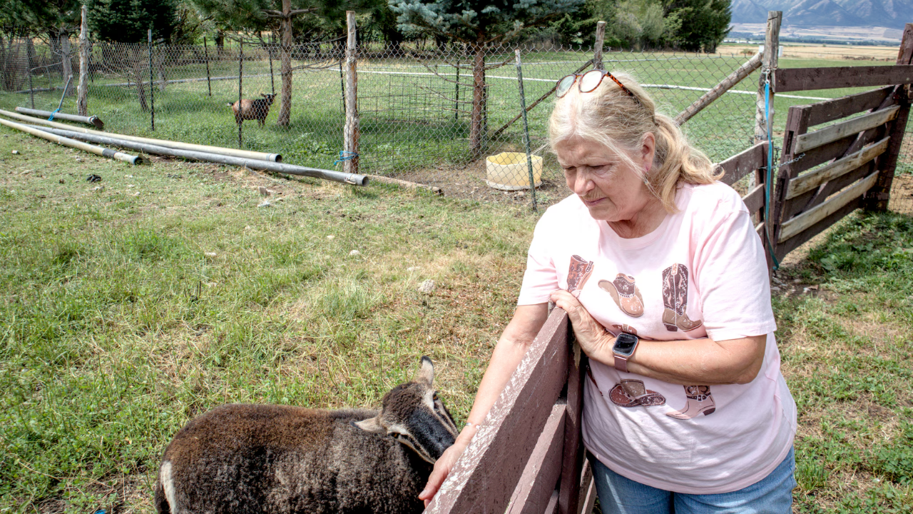 Utah couple's 14-year effort saves their 25.5-acre farm from becoming a subdivision