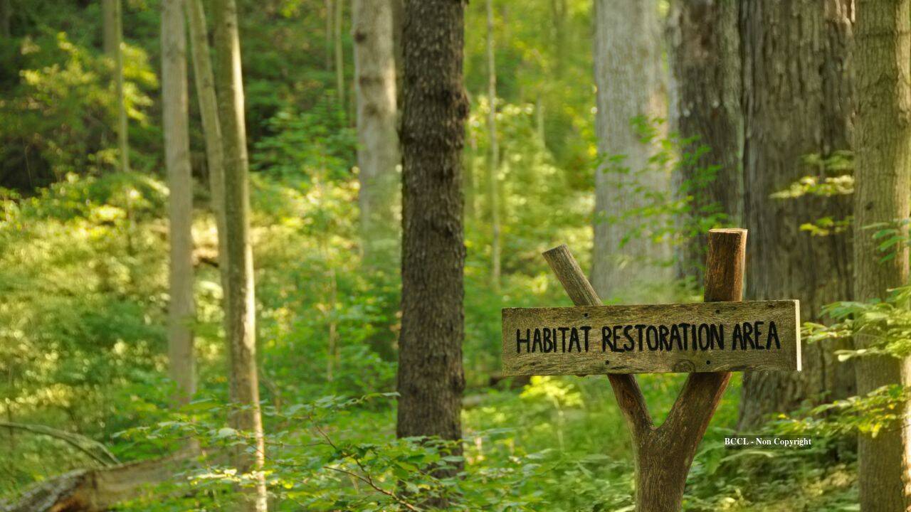 Anonymous donor gives Cincinnati $1.8 million to restore 228 acres of forest
