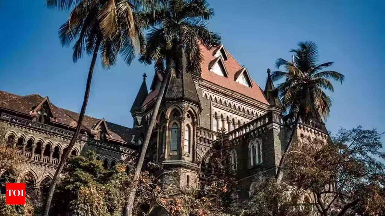 Told to remove Tipu Sultan pic from office, Malegaon deputy mayor moves Bombay HC