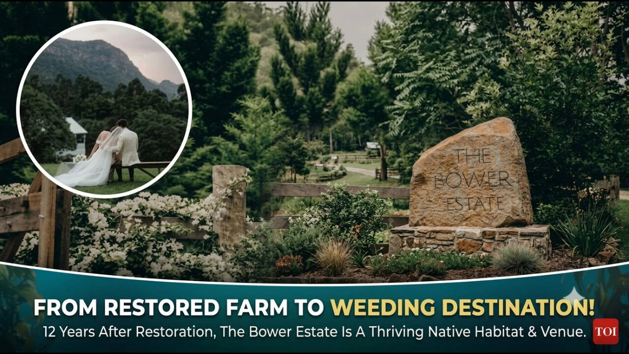 Australian family turned 120-acre farm into thriving native habitat