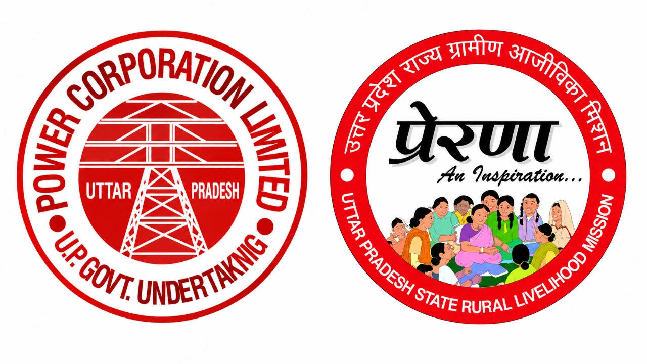 Uttar Pradesh Rural Power Utility Recovers Losses Through Female Micro-Collector Network