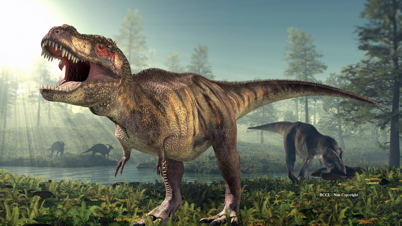T. rex had human-like body temperature, fossil teeth reveal warm-blooded predator