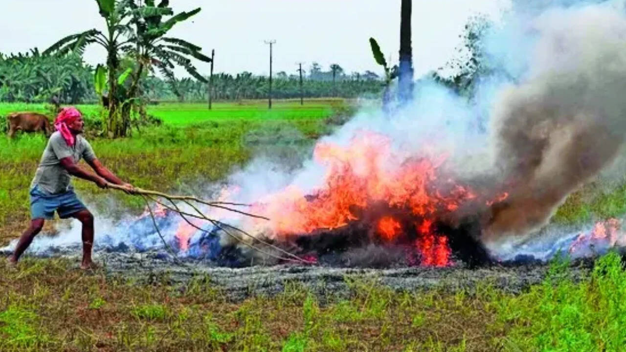Stringent ‘red entry’ clause in land revenue record proposed to curb farm fires in Delhi-NCR and adjoining areas