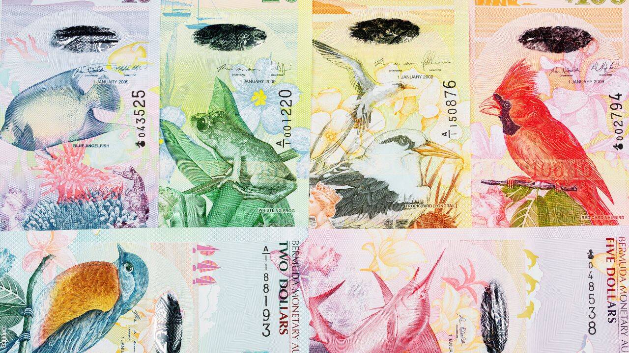 From sea turtle to rare birds: Foreign currencies so beautiful they belong in your travel album