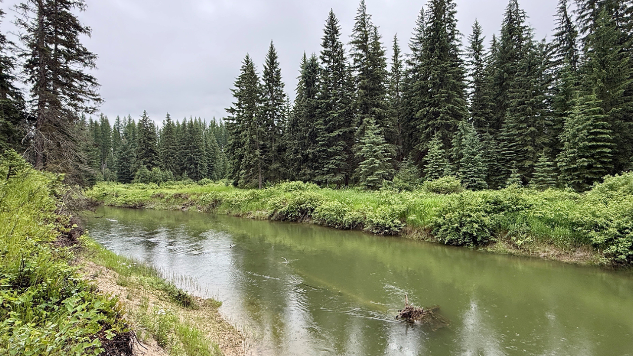 Montana family’s 57-acre wildlife haven protected forever