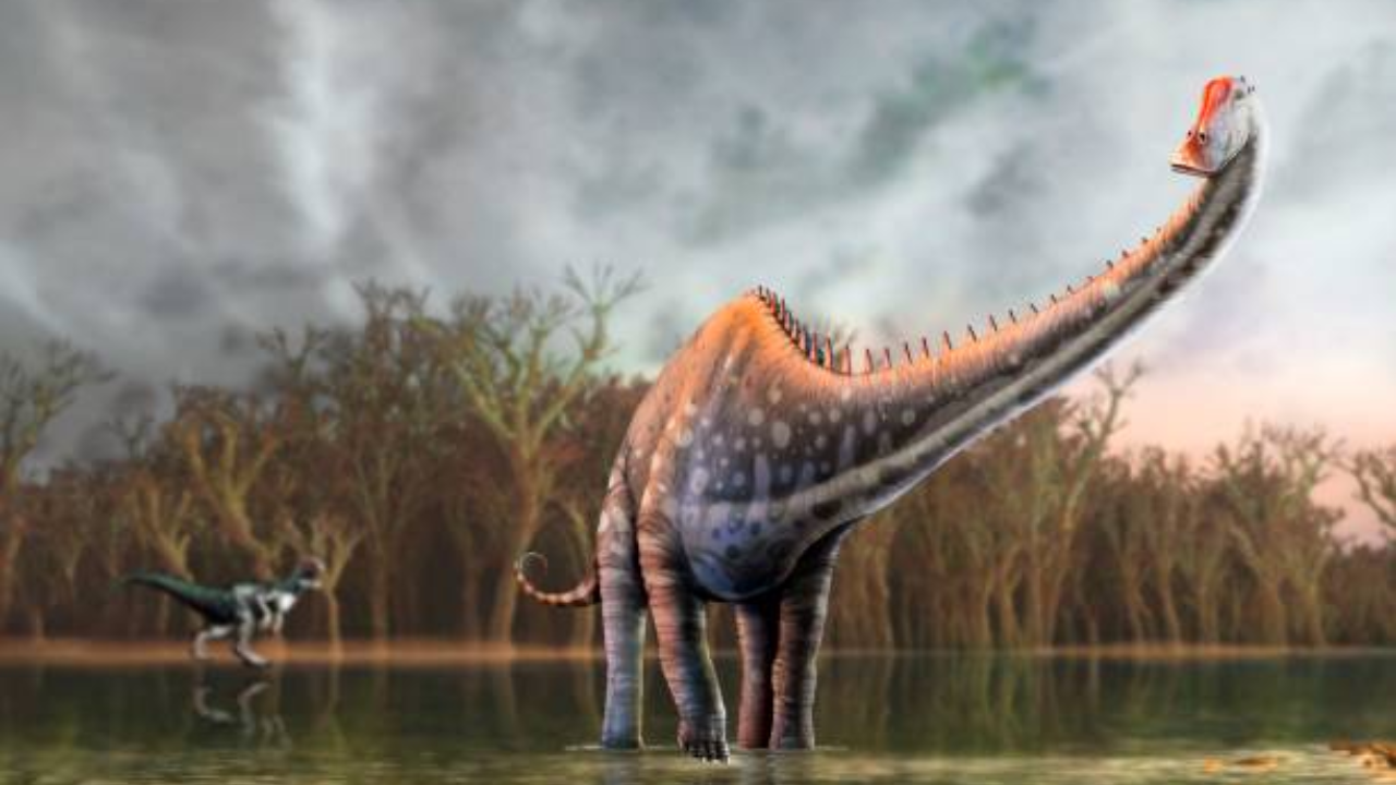 Diplodocus fossils found in Spain challenge North America’s dinosaur monopoly
