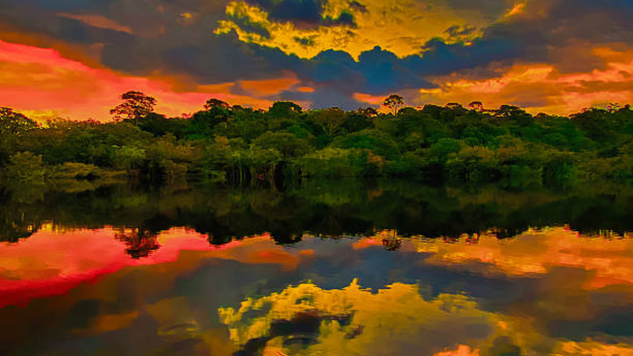 In 1927, Henry Ford built a town over a stretch of Amazon rainforest; in 1945 he was forced to sell it for $250,000