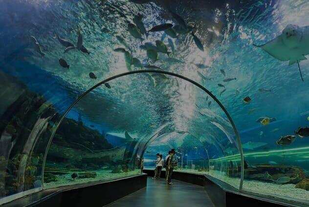 Walk-through aquarium coming up at Byculla Zoo in Mumbai early next year