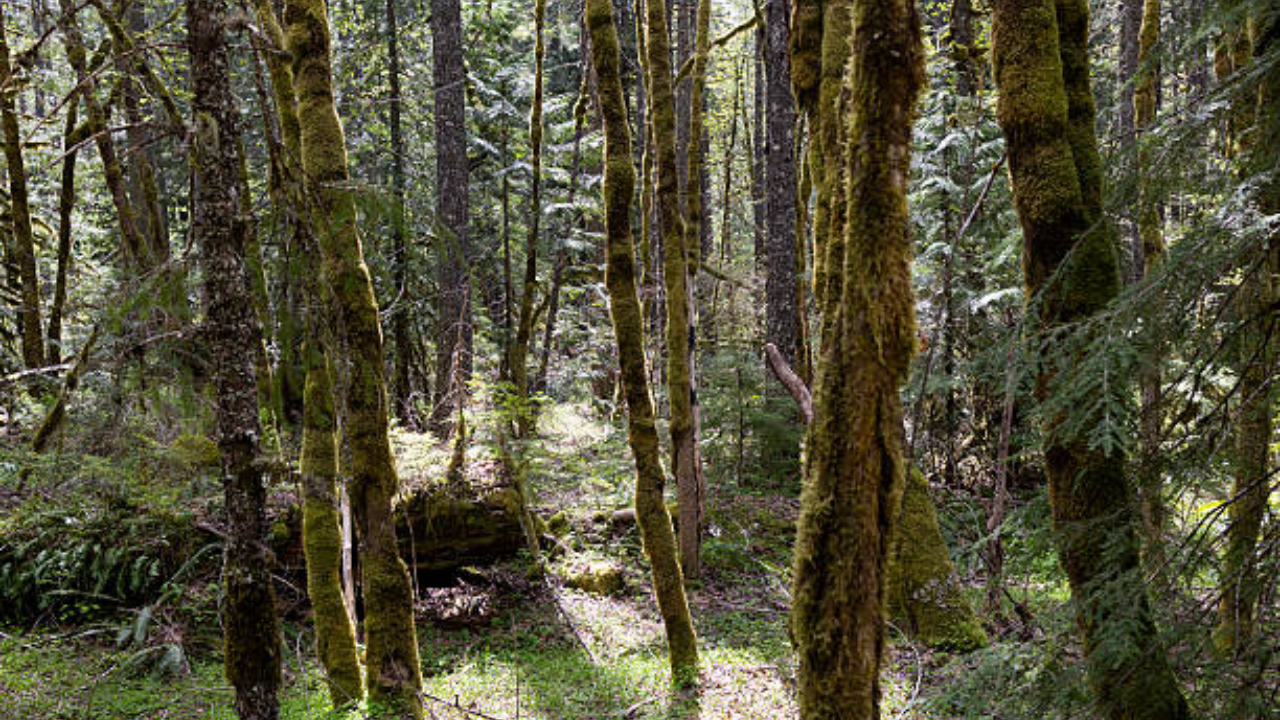 New Jersey couple gave away 90-acre estate; land is now a free public preserve