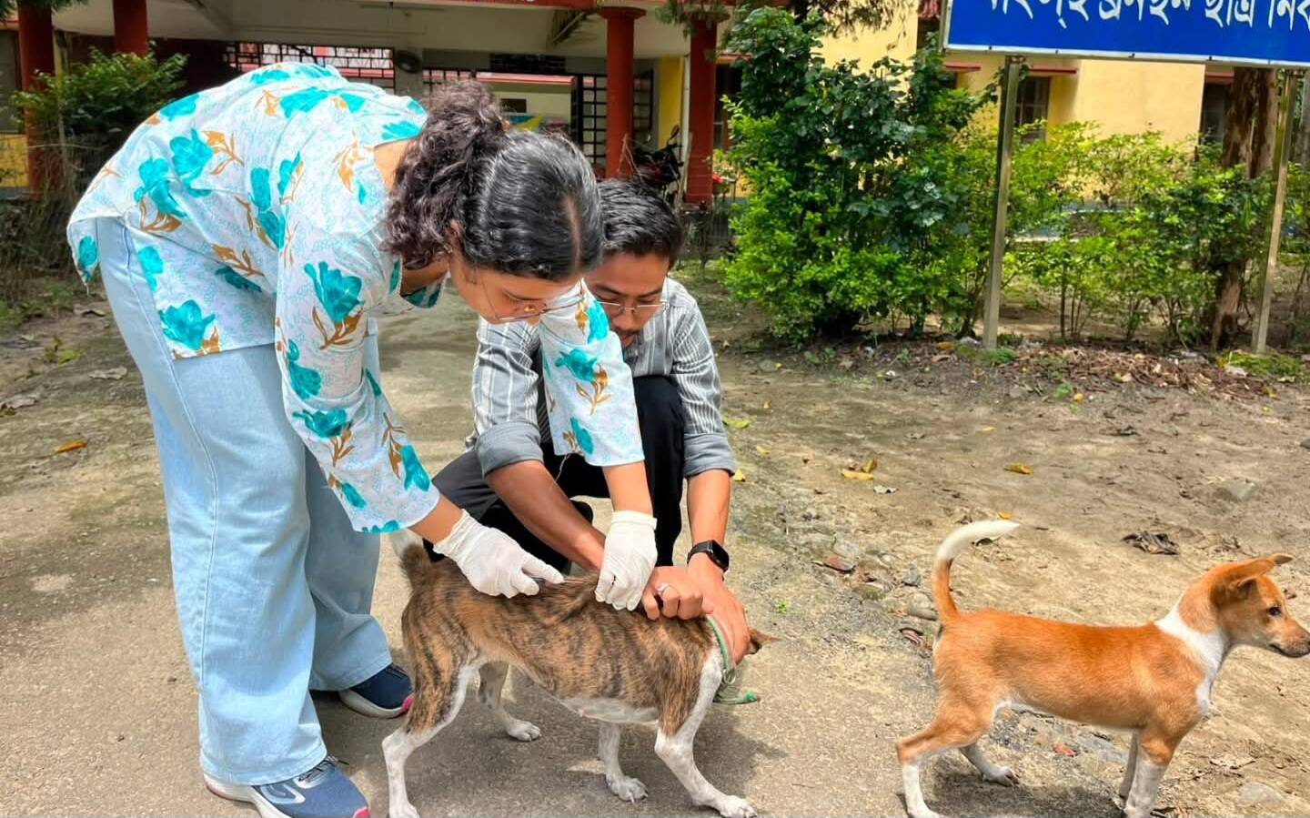 Buxa Wildlife Sanctuary Initiates Intensive Canine Vaccination Prior to Tiger Reintroduction