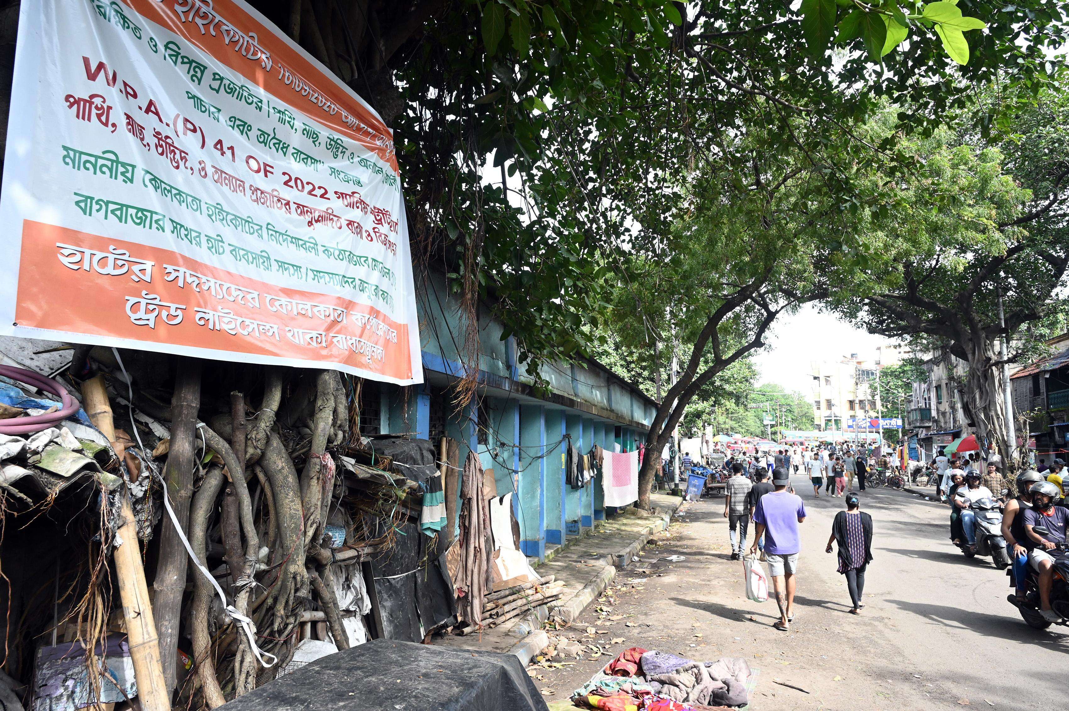 Calcutta Law Enforcement and Customs Authorities Execute Raid on Galiff Street Pet Market