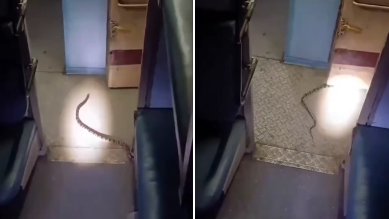 Snake spotted under berth in moving Katihar Express; video goes viral