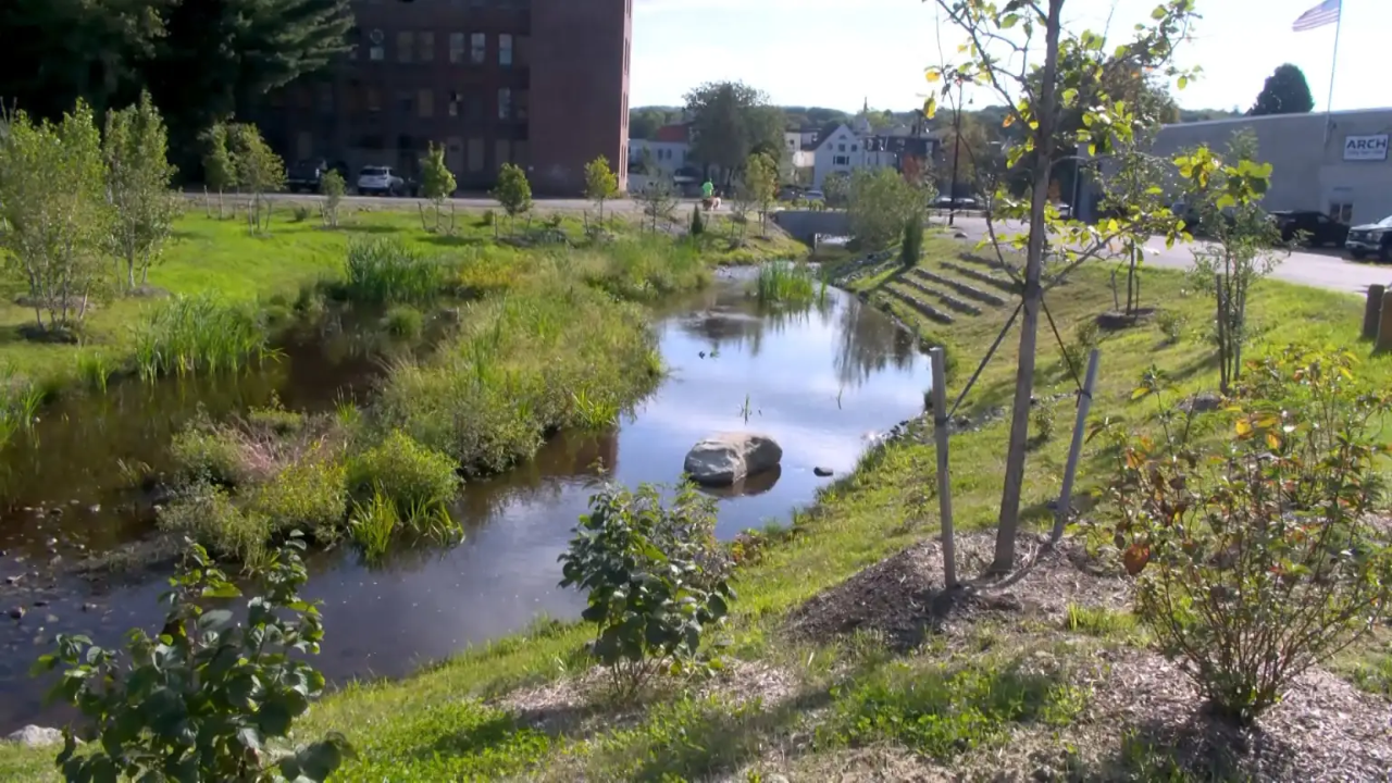 Mill Brook Crossing: Athol daylightes buried stream and rips up parking lot; new wetlands cool downtown
