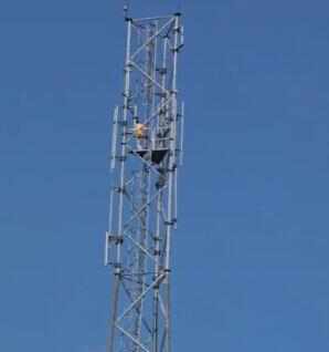 Domestic Dispute Erupts in Muzaffarpur as Youth Scales Telecommunication Infrastructure